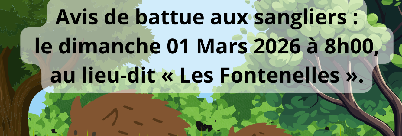 Battue au sanglier 01.03.2026