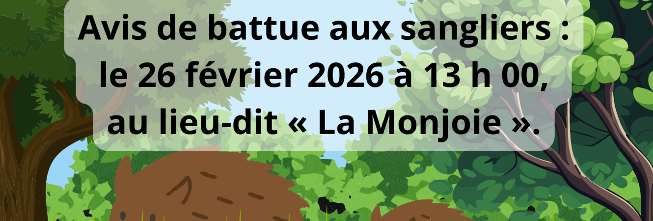 Battue au sanglier 26.02.2026