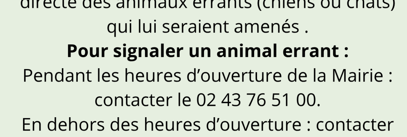 Caniroute (2)