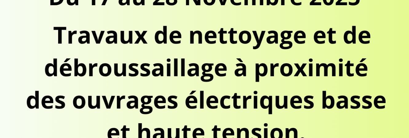 Travaux ENEDIS 1711 au 2811.