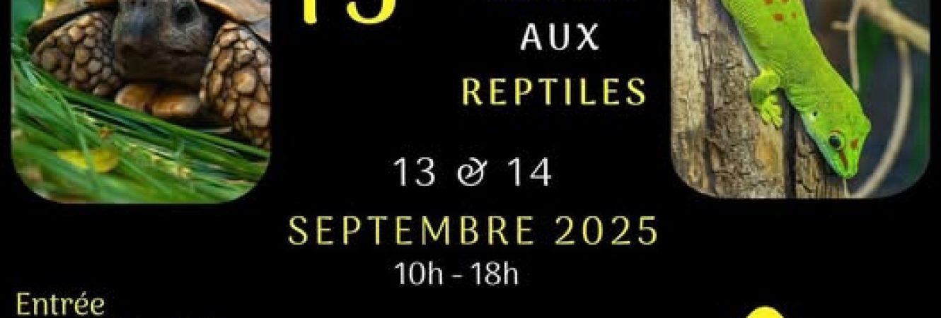 affiche bourse atm 2025