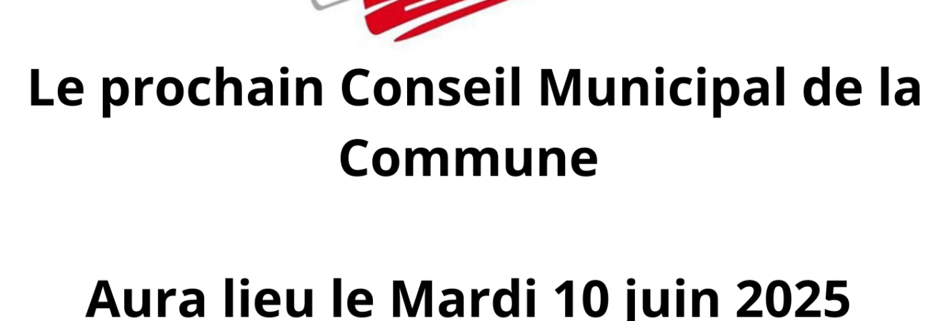 _conseil municipal (1)